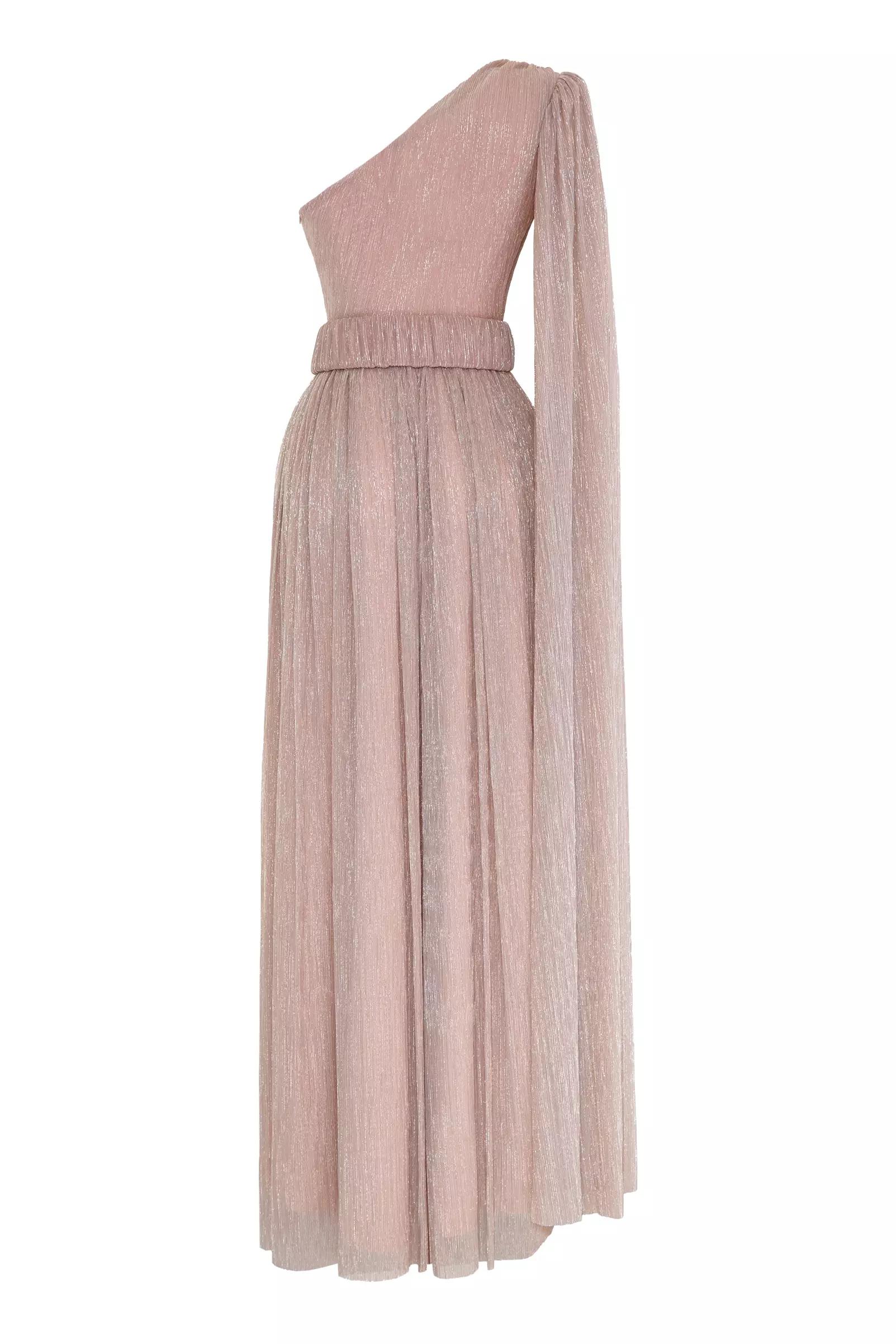 Blush moonlight one arm maxi dress