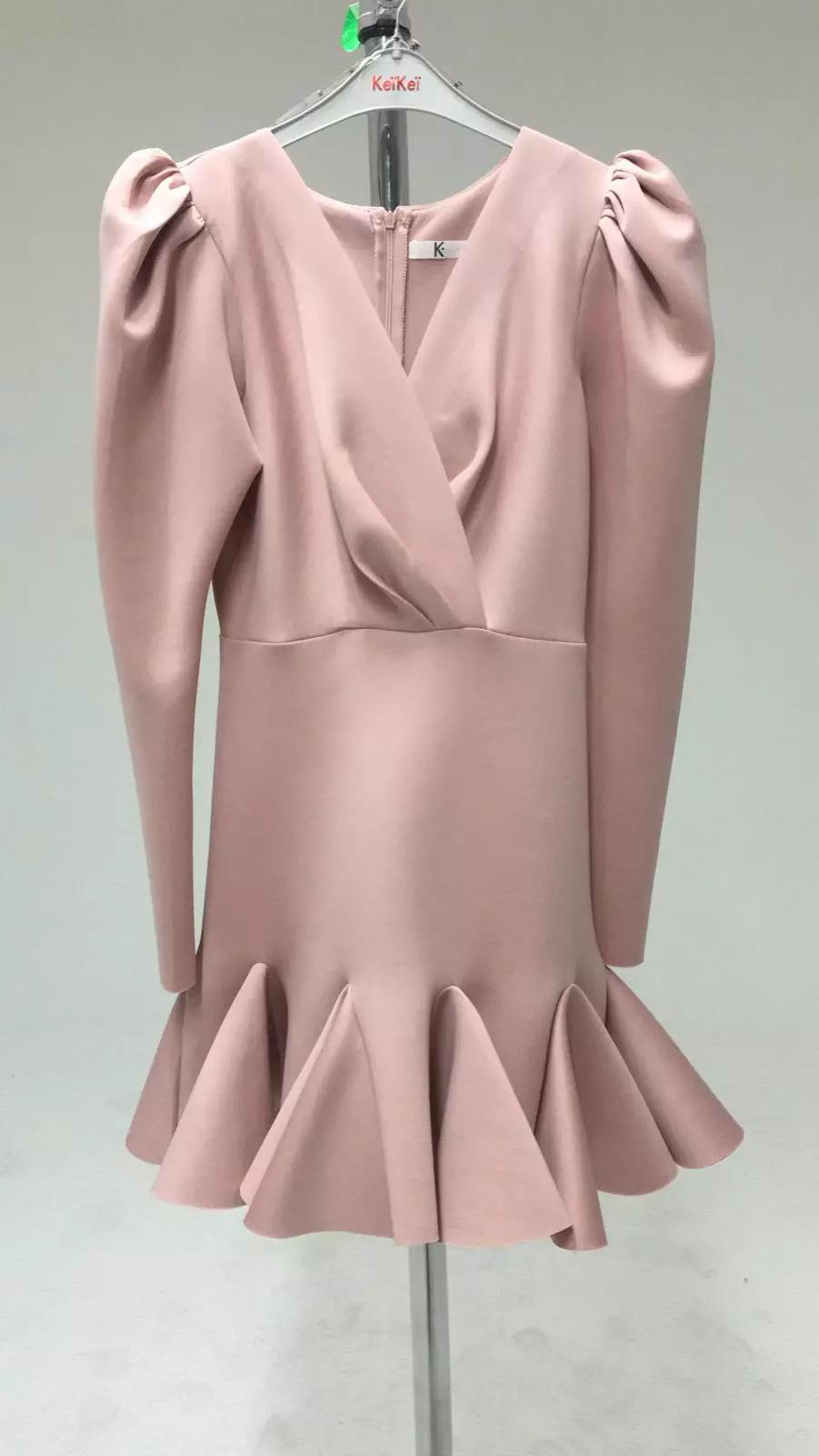 Blush wowen long sleeve mini dress