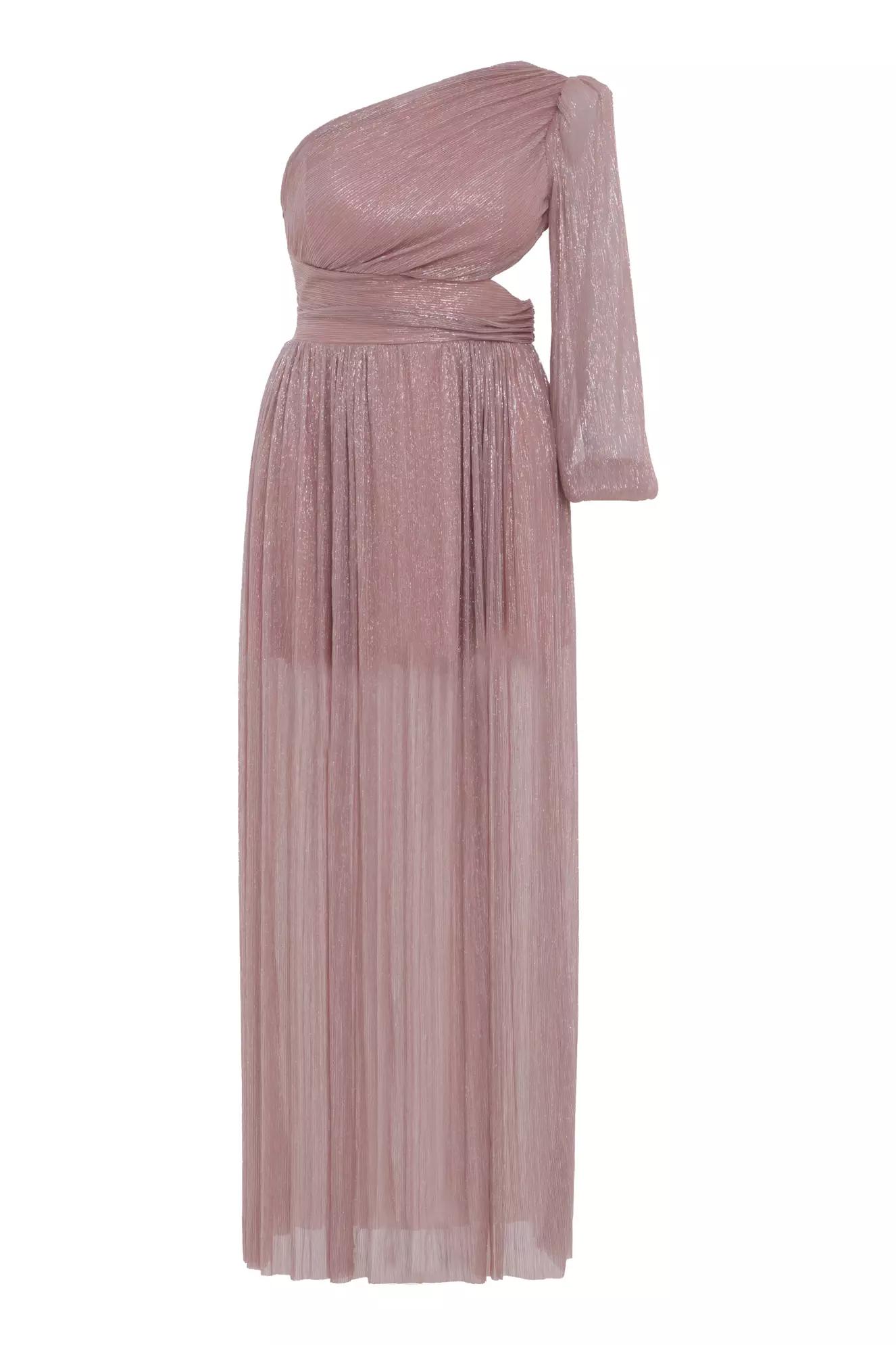 Blush plus size moonlight one arm long dress