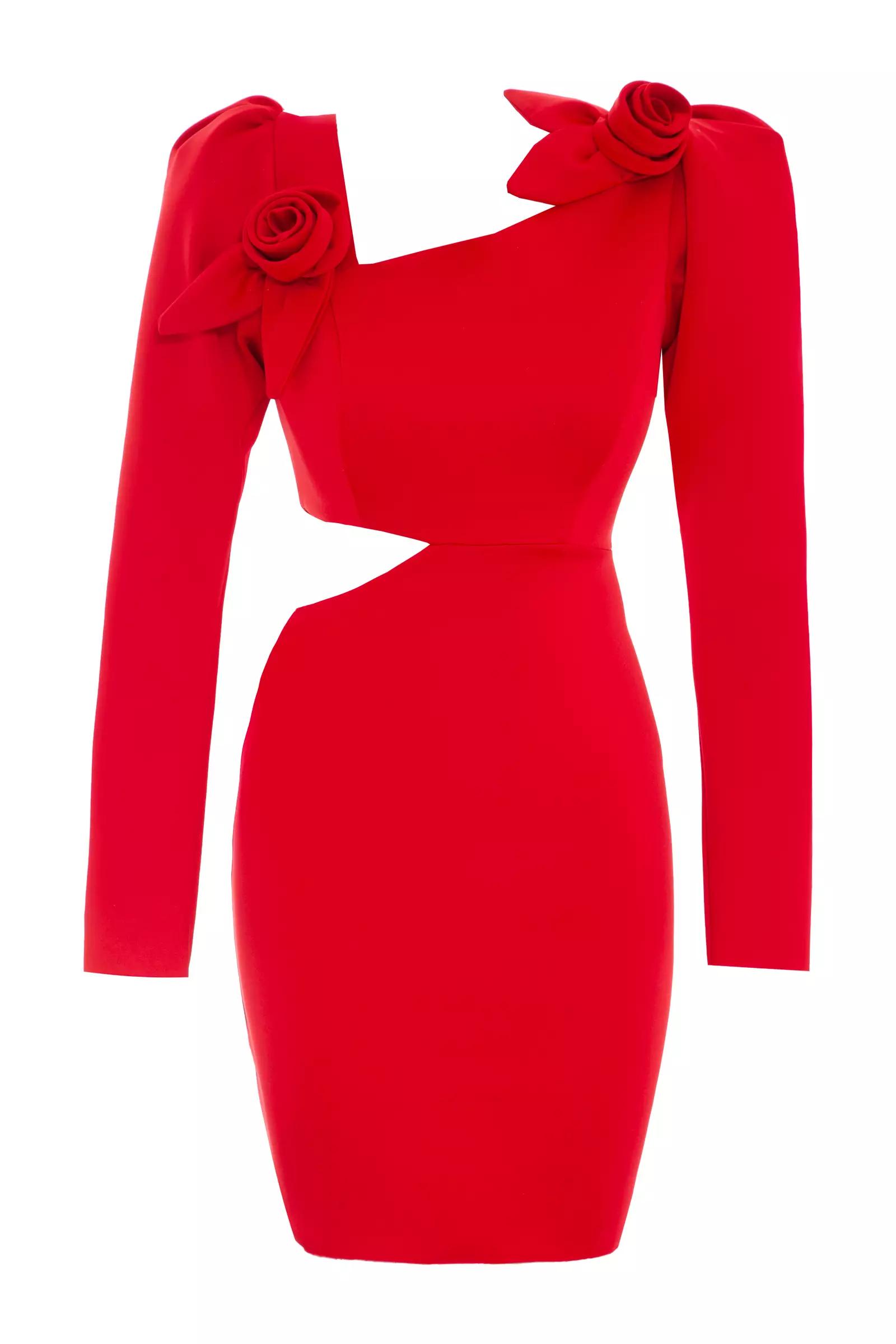 Red wowen long sleeve mini dress