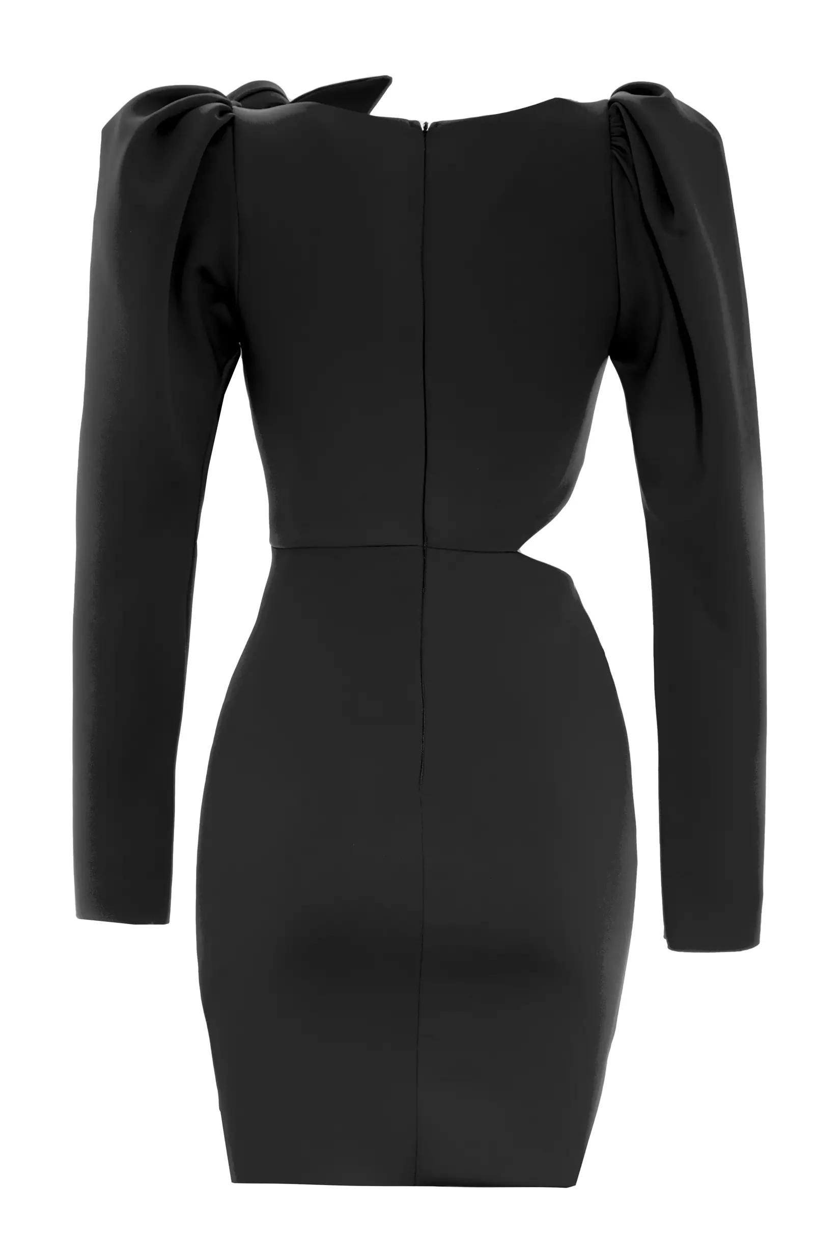 Black wowen long sleeve mini dress